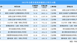 涉地面積超480公頃 2022年合肥市工業重點土地投資項目10強揭曉