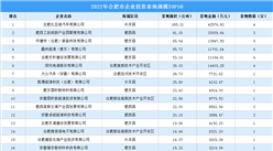 84宗29億元！2022合肥市工業土地投資TOP50企業榜單