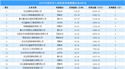 【產業投資情報】2022河北工業土地投資最大的50家企業摘走112宗地
