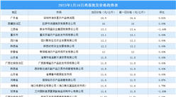 2023年1月17日全國各地最新雞蛋價格行情走勢分析