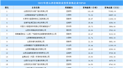 制造業投資增長 2022年山西省制造業投資企業TOP50匯總