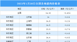 2023年1月31日全國各地最新豬肉價格行情走勢分析