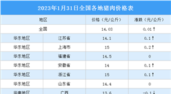 2023年2月1日全國各地最新豬肉價格行情走勢分析