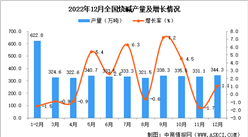 2022年12月全國燒堿產量數據統計分析