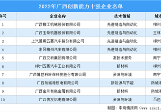 2022年广西创新能力十强企业排行榜
