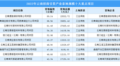 【項目投資動態】2022年度云南工業投資十大重點項目盤點
