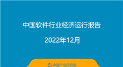 2022年中國軟件行業經濟運行報告（附全文）