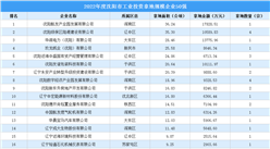 投資金額超20億 2022沈陽工業投資TOP50企業投資力度大