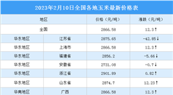 2023年2月11日全國各地最新玉米價格行情走勢分析