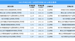 2022年度哈爾濱項目建設穩中求進，10大工業投資項目涉地面積111公頃