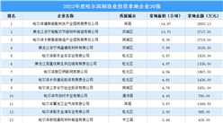 投資企業盤點 | 2022年度哈爾濱制造業投資企業30強名單匯總（圖）