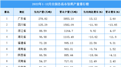 2022年1-12月全國各省市飲料產量排行榜