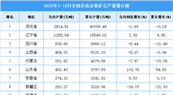 2022年1-12月全國各省市鐵礦石產量排行榜
