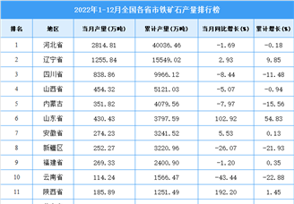 2022年1-12月全国各省市铁矿石产量排行榜