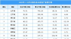 2022年1-12月全國各省市原鹽產量排行榜