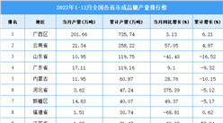 2022年1-12月全國各省市成品糖產量排行榜
