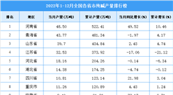 2022年1-12月全國各省市純堿產量排行榜