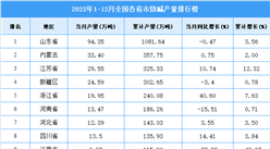 2022年1-12月全國各省市燒堿產量排行榜