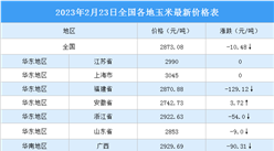 2023年2月24日全國各地最新玉米價格行情走勢分析