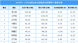 2022年1-12月全國各省市初級形態的塑料產量排行榜