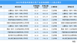 【項目投資動態】2022年度宿州工業投資十大重點項目盤點