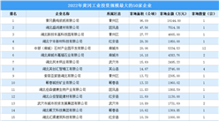 投資情報 · 黃岡篇 | 2022年黃岡這50家企業工業土地投資規模最大