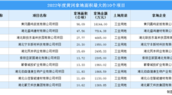 2022黃岡工業土地投資規模最大的十個項目，總投資額超4億元