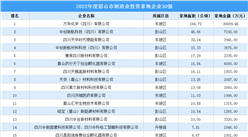 投資企業盤點 | 2022年度眉山市制造業投資企業30強名單匯總（圖）