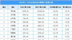 2022年全國各省市粗鋼產量排行榜