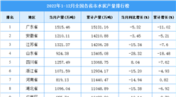2022年全國各省市水泥產量排行榜