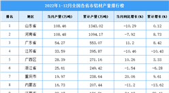 2022年全國各省市鋁材產量排行榜