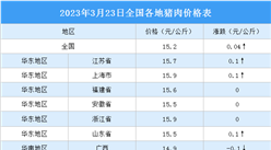 2023年3月24日全國各地最新豬肉價格行情走勢分析
