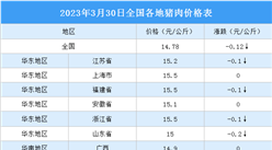 2023年3月31日全國各地最新豬肉價格行情走勢分析