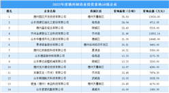 產業投資動態 | 2022年德州制造業50強企業土地投資超13億元
