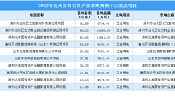【項目投資動態】2022年濱州工業投資十大重點項目盤點