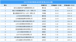 產業投資聚焦 | 2022年濱州市制造業土地投資50強企業匯總