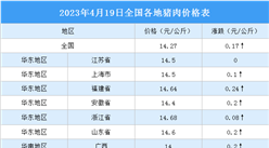 2023年4月20日全國各地最新豬肉價格行情走勢分析
