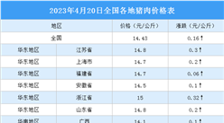 2023年4月21日全國各地最新豬肉價格行情走勢分析