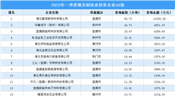 涉地面積超498公頃 2023年一季度湖北制造業投資企業50強匯總
