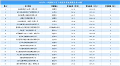 【工業投資情報】2023年一季度四川省工業土地投資TOP50超21億