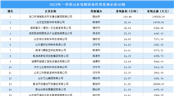 產業投資動態 | 2023年一季度山東省制造業投資拿地企業50強出爐！