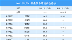 2023年5月13日全國各地最新豬肉價格行情走勢分析