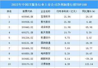 2022年中国IT服务行业上市公司净利润排行榜TOP100