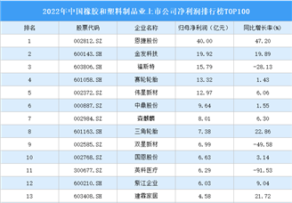 2022年中国橡胶和塑料制品业上市公司净利润排行榜TOP100（附榜单）