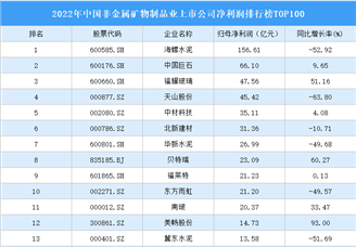 2022年中国非金属矿物制品业上市公司净利润排行榜TOP100（附榜单）