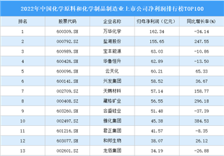 2022年中国化学原料和化学制品制造业上市公司净利润排行榜TOP100（附榜单）