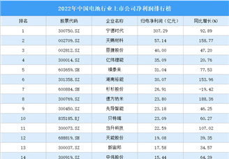 2022年中国电池行业上市公司净利润排行榜（附榜单）