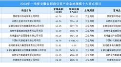 招商引資動態 | 2023年一季度安徽這10個工業項目土地投資規模最大