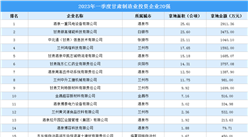 涉地面積超177公頃 2023年一季度甘肅制造業投資企業20強匯總