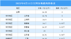 2023年6月12日全國各地最新豬肉價格行情走勢分析